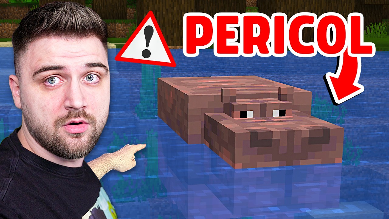 Minecraft TREBUIE sa ADAUGE ASTA !