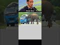 elephant funny voiceover video 😂🤣