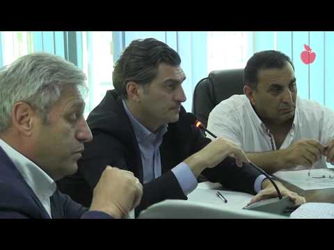 გორში პარლამენტის სპორტკომიტეტის გასვლითი სხდომა ჩატარდა