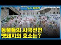 [이슈 하이킥] 동물들의 시국선언 멧돼지의 호소는? - 김산하 (영장류학자) [표창원의 뉴스 하이킥]