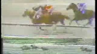 Clasico Ministerio de Agricultura y Cria 1982