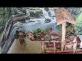 ❇️#Water‑Sounds #live | Bamboo water wheel sounds relax & chill的副本