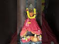 Day 7 in Konaseema 🌳 #instagram #minivlog #telugu #temple  #konasema #automobile
