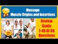 Massage Muscle Origins and Insertions (Review Guide 1-49 Of 98 Questions)