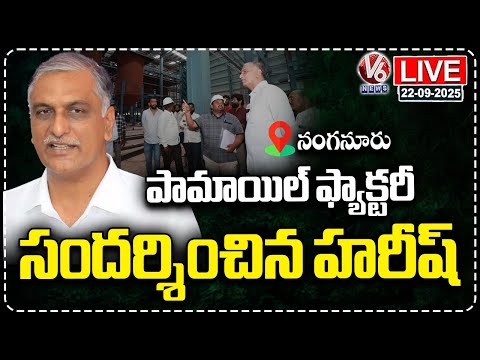 LIVE: Harish Rao Inspects Palm Oil Factory At Narmetta, Nanganur | Siddipet | V6 News - V6NEWSTELUGU