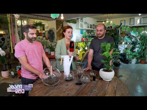 #ახალიდღე რუბრიკა „მცენარეების მეგობარი“ - სასუქის სახეობა და გამოყენების წესები