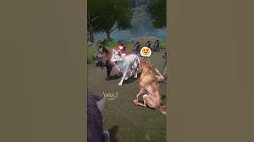 When a Wannabe Wolf Tries to Flirt with the Alpha’s Mate… Ouch!🐺😂💦  #wolfgame #games #wolf