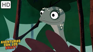 La Selva Tropical Lagartos, Monos, Insectos Más Episodios Completos Aventuras Con Los Kratt