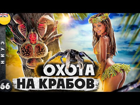 НИУЭ | ОСТРОВ, с которого ВСЕ хотят УЕХАТЬ | ОХОТА на пальмовых ВОРОВ