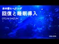 【水の音・疲労回復】水族館で癒され眠る睡眠用BGM | ソルフェジオ周波数 528Hz 396Hz