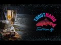 TROUTMANIA осень 2016  Соревнования по ловле форели