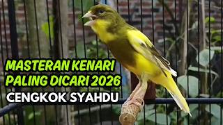 Pancingan Kenari Jitu Cepat Respon! Bunyi Suara Kenari Gacor Jernih & Stabil Dijamin Ngeroll Panjang