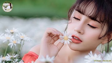 Chụp cúc họa mi giá rẻ - 0961044488 | HN Studio