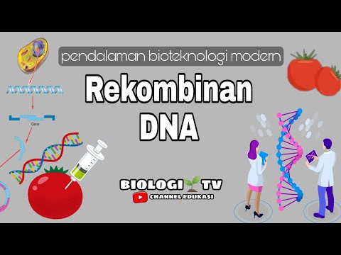 Video: Apakah yang biasa berfungsi sebagai vektor pengklonan DNA?