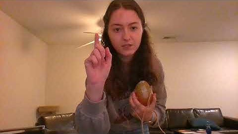 PHYS 1101L Lab 9 Simple Harmonic Motion