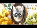 【羊毛フェルト】追視する！リアルな猫作り