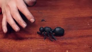 How to Build a Model of an Ant : Sculpting Crafts & More