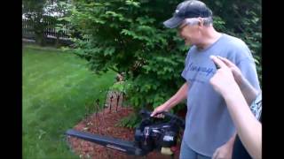 DOGS & LEAF BLOWERS COLLECTION
