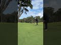 no way to the jose #golf #golfshorts #golfswing