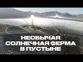 Необычная Солнечная Ферма в Пустыне | ЭлектроГараж | Ev ServiZ