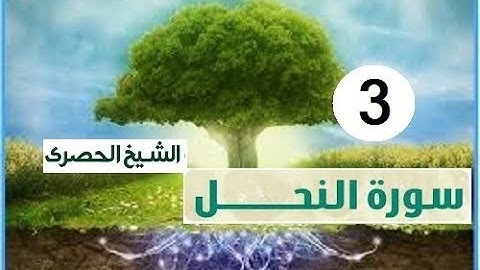 ‏المصحف المعلم الشيخ الحصري  سورة  النحل الجزء الرابع عشر الوجه8