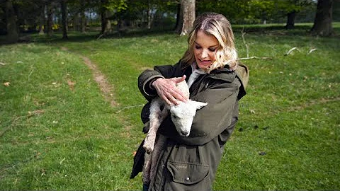 Why Boughton House Keeps a Flock of 2,000 Sheep | ...