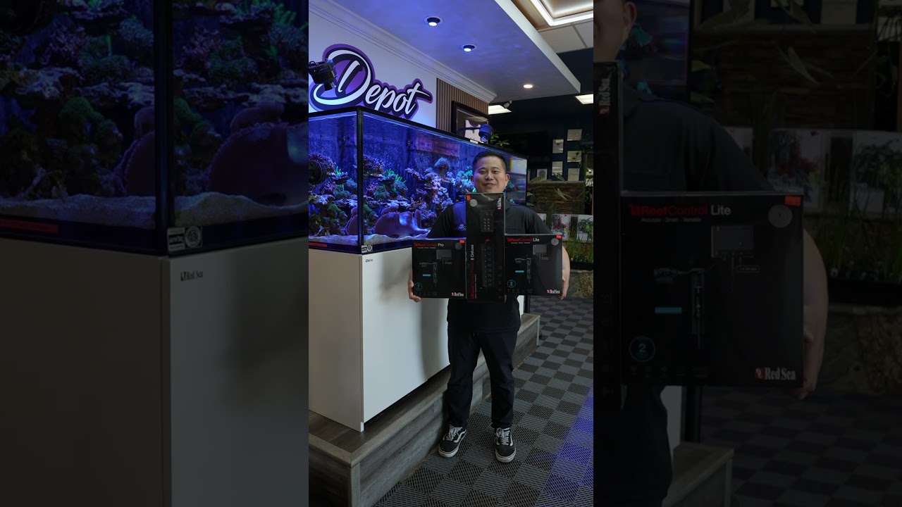 Red Sea ReefControl now in stock at Aquarium & Reptile Depot in Citrus Heights #aquarium
