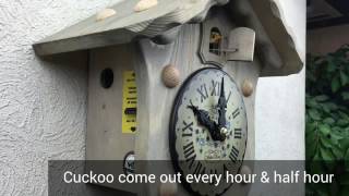 New concept product of German cuckoo clock モダンデザインな鳩時計