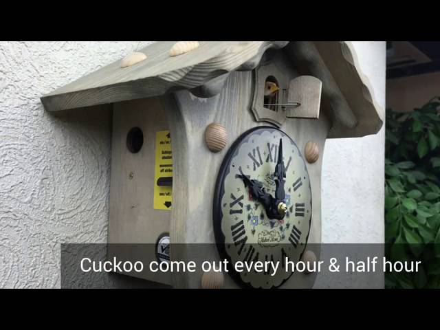 New concept product of German cuckoo clock モダンデザインな鳩時計