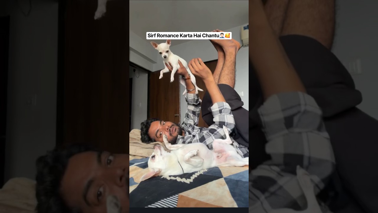 Latest Title & Thumbnail