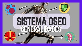 💀 Skeletal System | Learn QUICKLY AND EASILY 📚