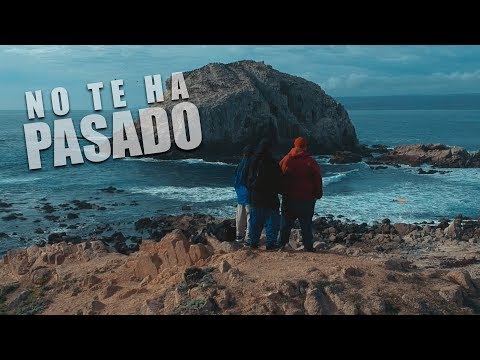 Sagrada tierra - No te ha pasado? (Video Oficial) | Prod.4ilusiones