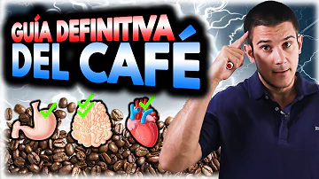 ¿Qué café debe tomar cada día?