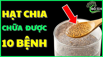 Tin Vui: 10 Lợi Ích Của Hạt Chia Chữa Được 10 Căn Bệnh Thường Gặp Nhất- kênh sức khoẻ bổ ích
