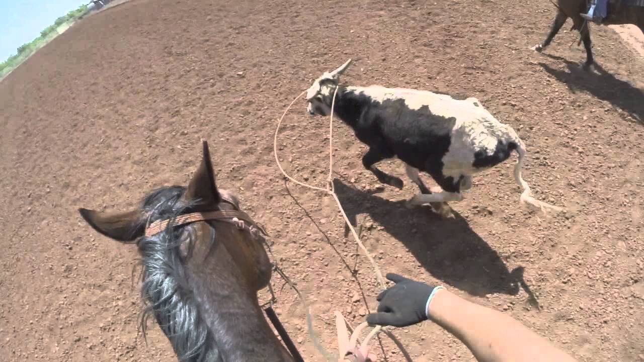 GO PRO Team Roping - Harrold, Texas Video 11 - YouTube
