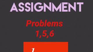 Optional Assignment Mr. Torres
