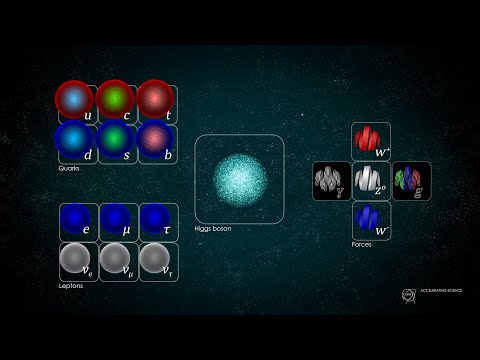 فيديو: أين تقع الجسيمات دون الذرية؟
