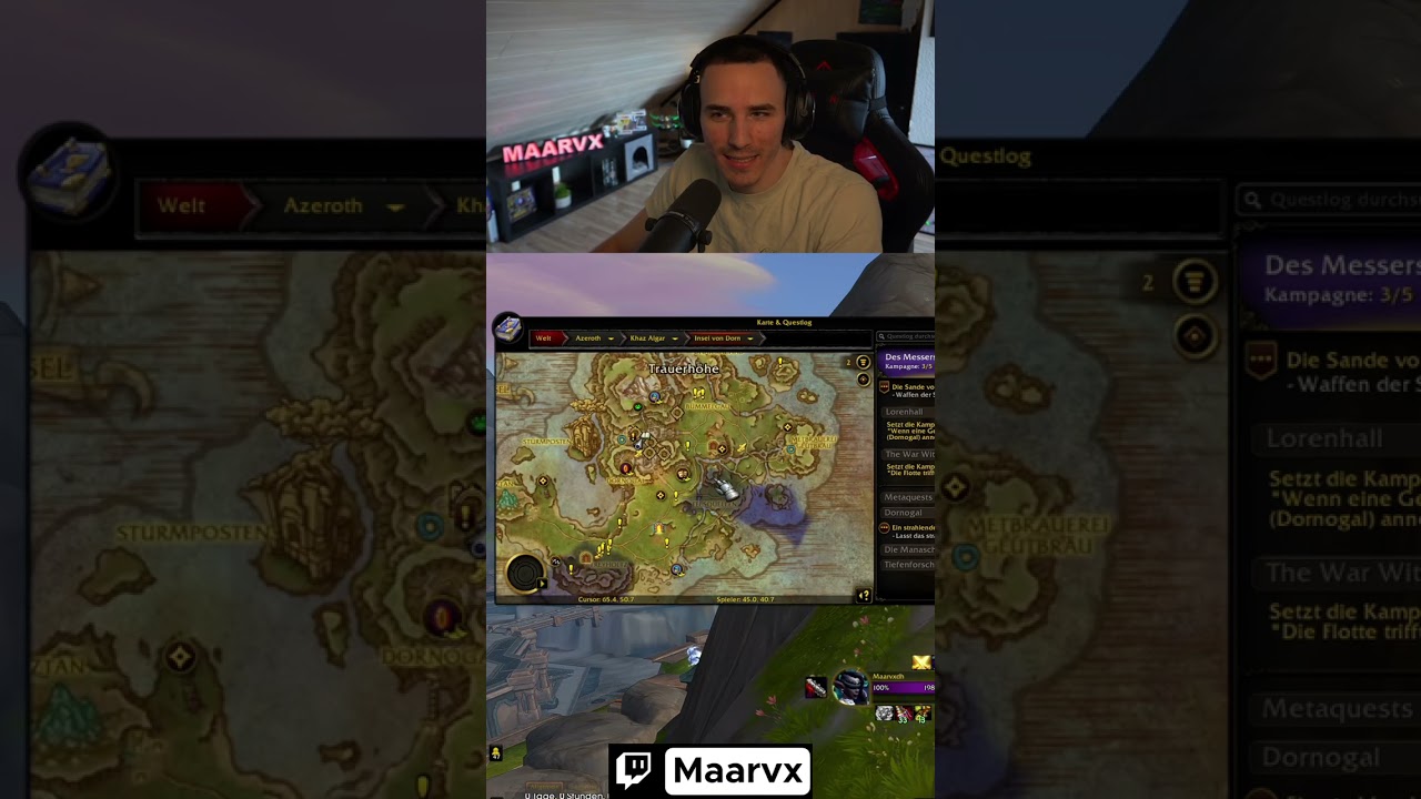 Das beste Kartenaddon! Leatrix Maps🗺