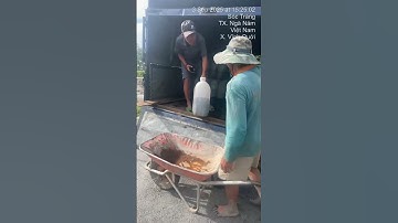 Đầy đủ các loại cá giống nước ngọt. 0909770509 #cá_giống #trại_cá_giống_út_me #traicagiongdongthap