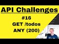 API Testing Challenge 16 - How To - GET todos any 200