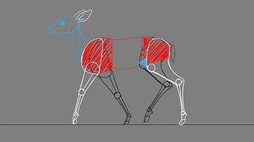 Deer WalkCycle