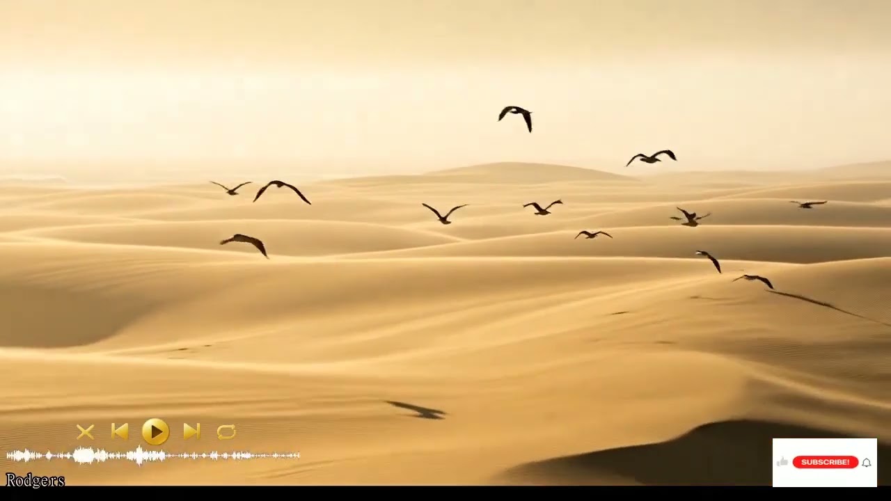 柔らかな風が吹く夕暮れの神秘的な器楽組曲