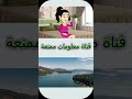 الحلقة   الثانية  من   رواية شموع الامل الجزء   12   #قصص_معلومات_ممتعة   #رواية_شموع_الأمل