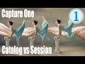 Capture One - Catalog or Session?