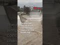 Man trying to save his dog rescued by helicopter 🚁 amid Los Angeles floods