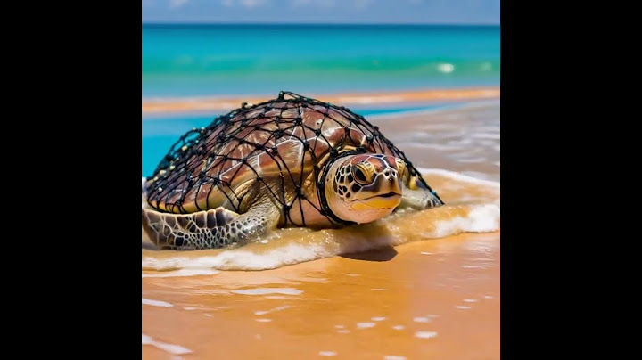 A sea turtle struggles  #baby #babytoons #comedyvideos