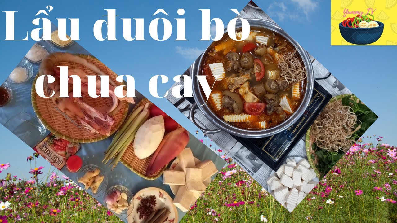 Hướng dẫn Cách nấu lẩu đuôi bò – Cách làm lẩu đuôi bò chua cay