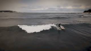 UP Surfer Dan and cold Lake Superior Miniature World. drone. Michigan.