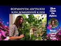 ФОРМИРУЕМ АБУТИЛОН | ОБРЕЗАЕМ ДОМАШНИЙ КЛЕН 4К