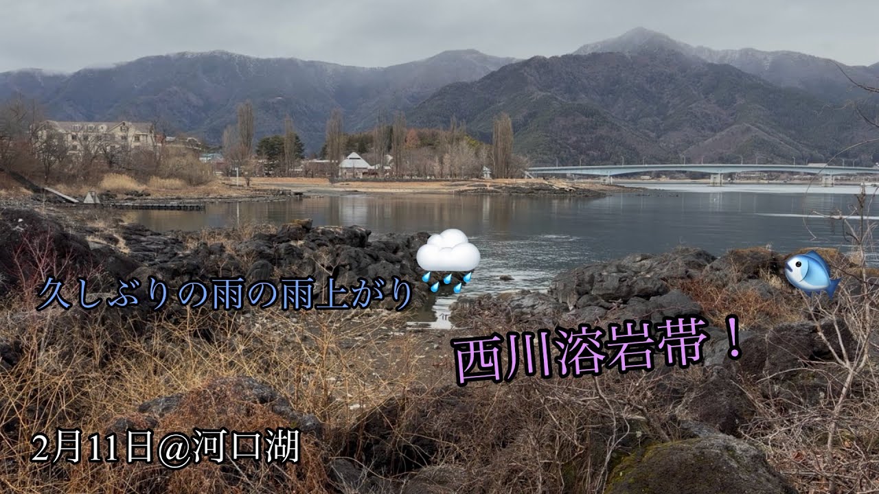 〜河口湖バス釣り26‘〜2月11日西川溶岩帯編【河口湖バス釣り】アルデDC